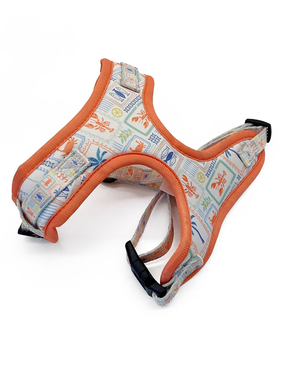 Pechera forma h para perro 5