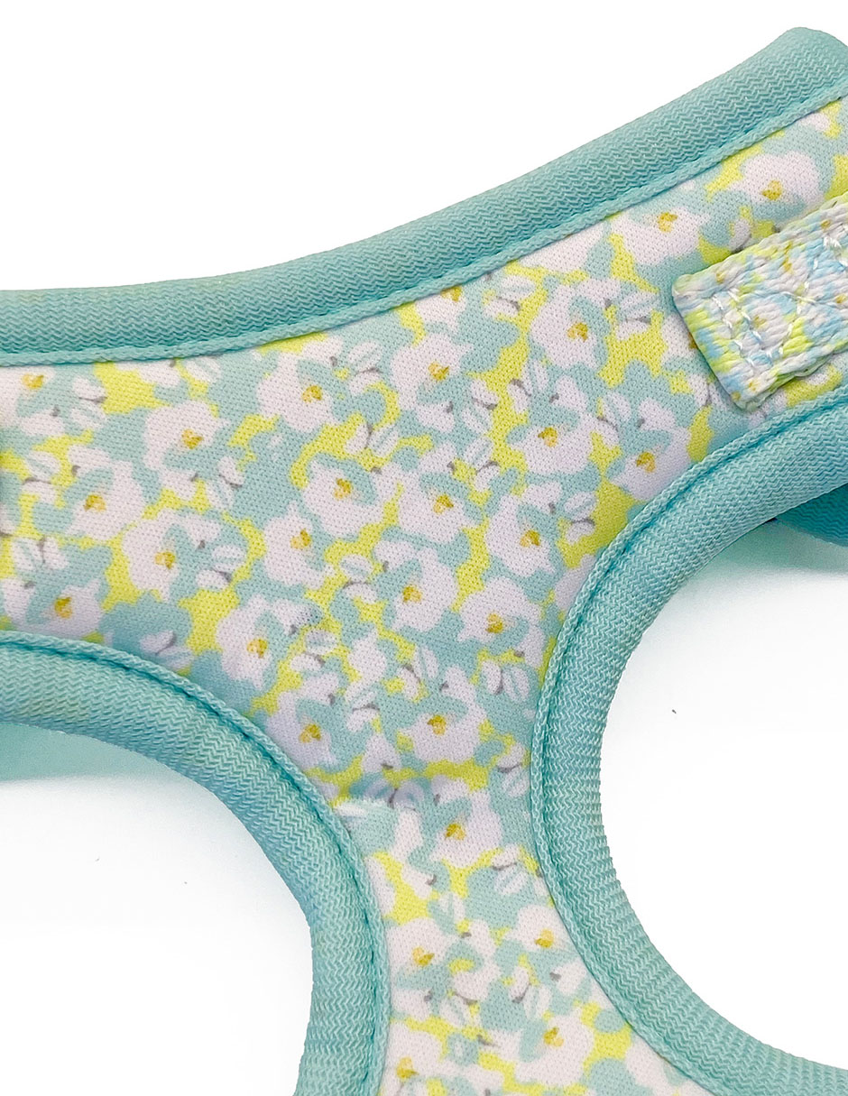 Pechera para perro 3