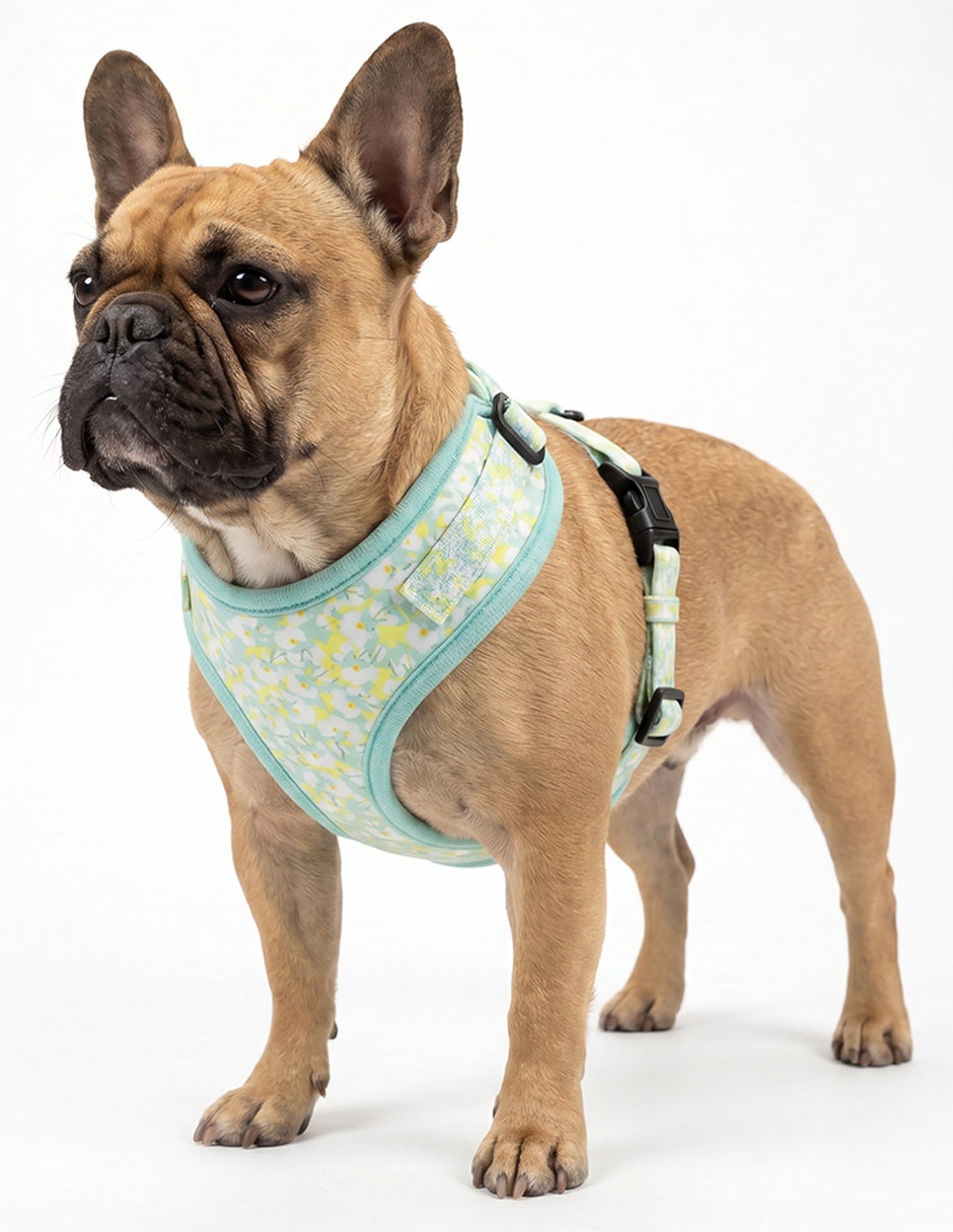 Pechera para perro 5