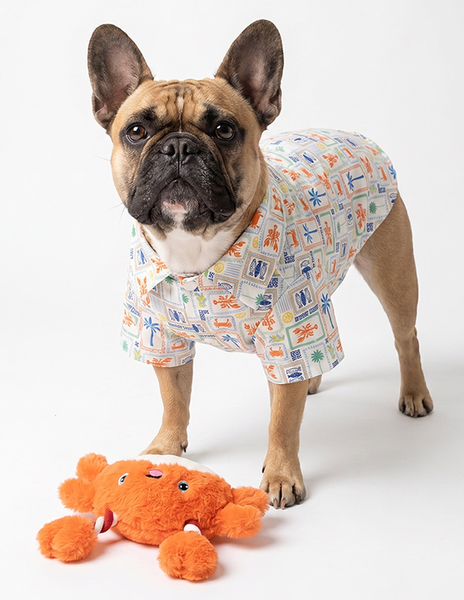 Peluche para perro 6
