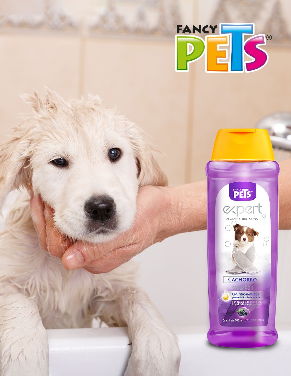 Shampoo para perro Shampoo para perro