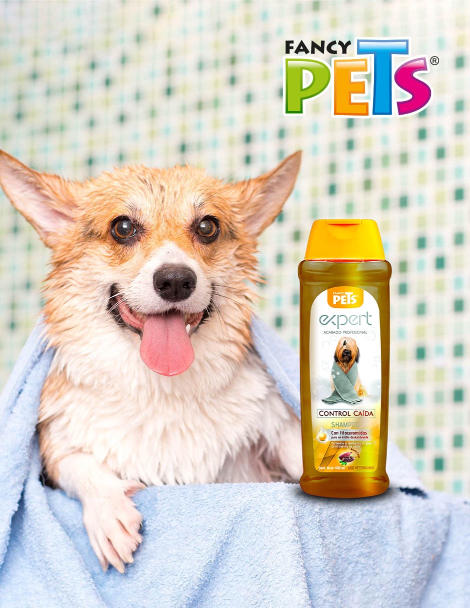 Shampoo para perro Shampoo para perro