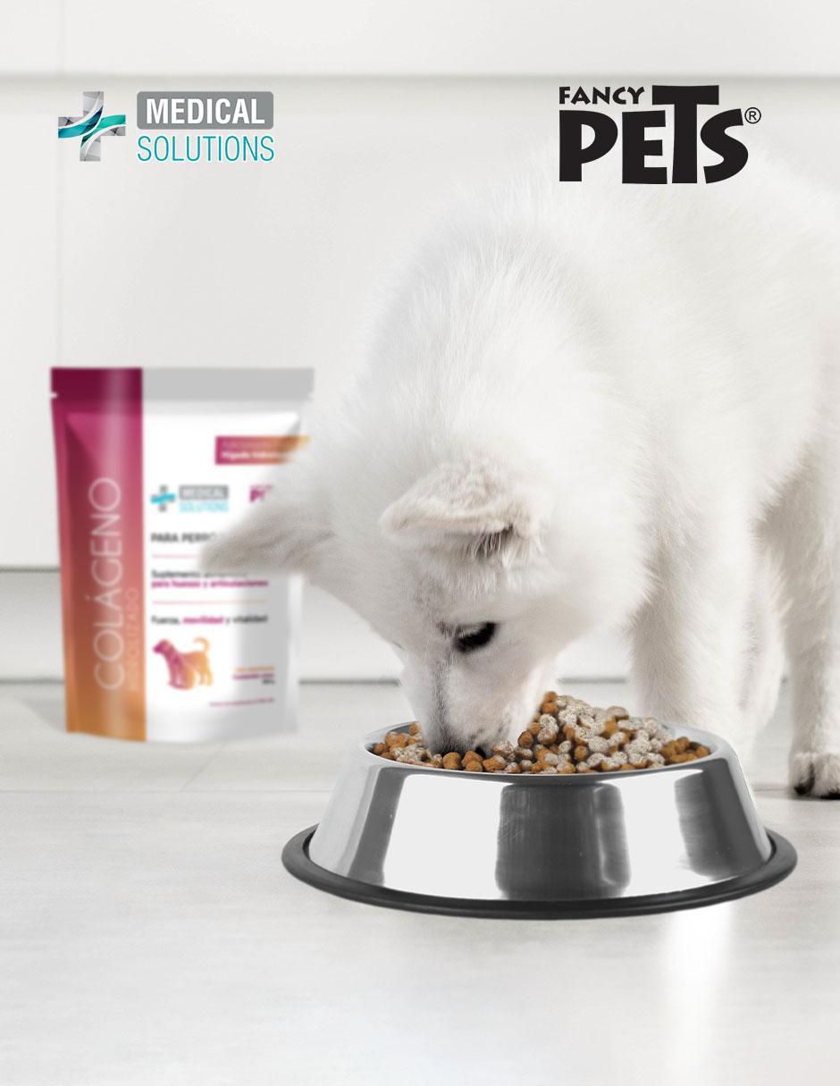 Colágeno para mascotas perro y gato Colágeno para mascotas perro y gato