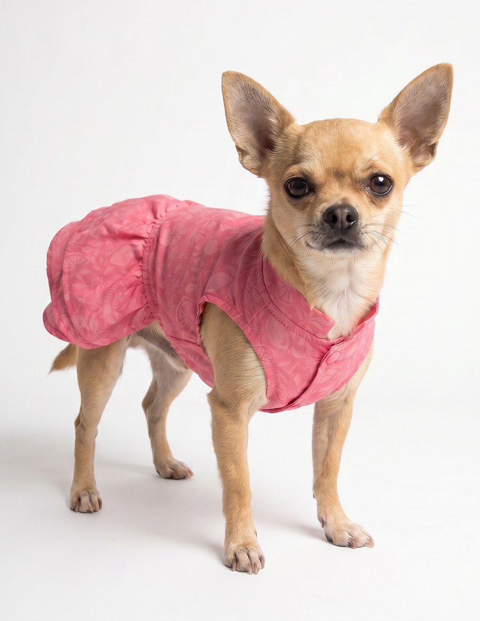 Vestido para perro 5