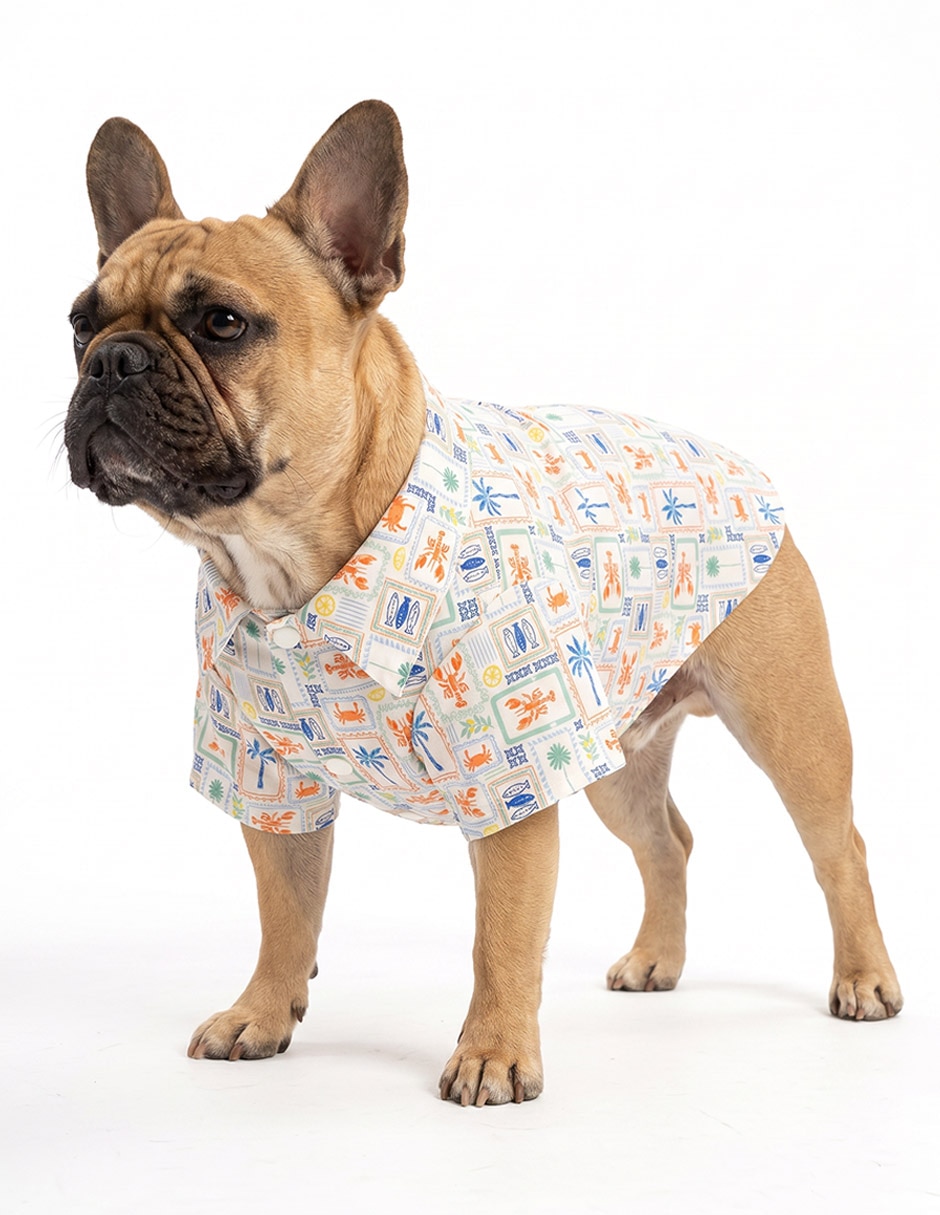 Camisa para perro 5