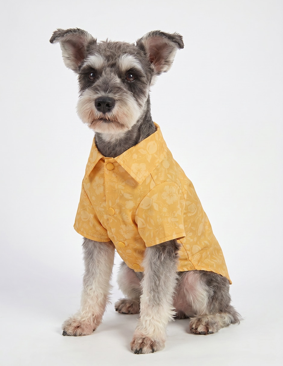 Camisa para perro 5