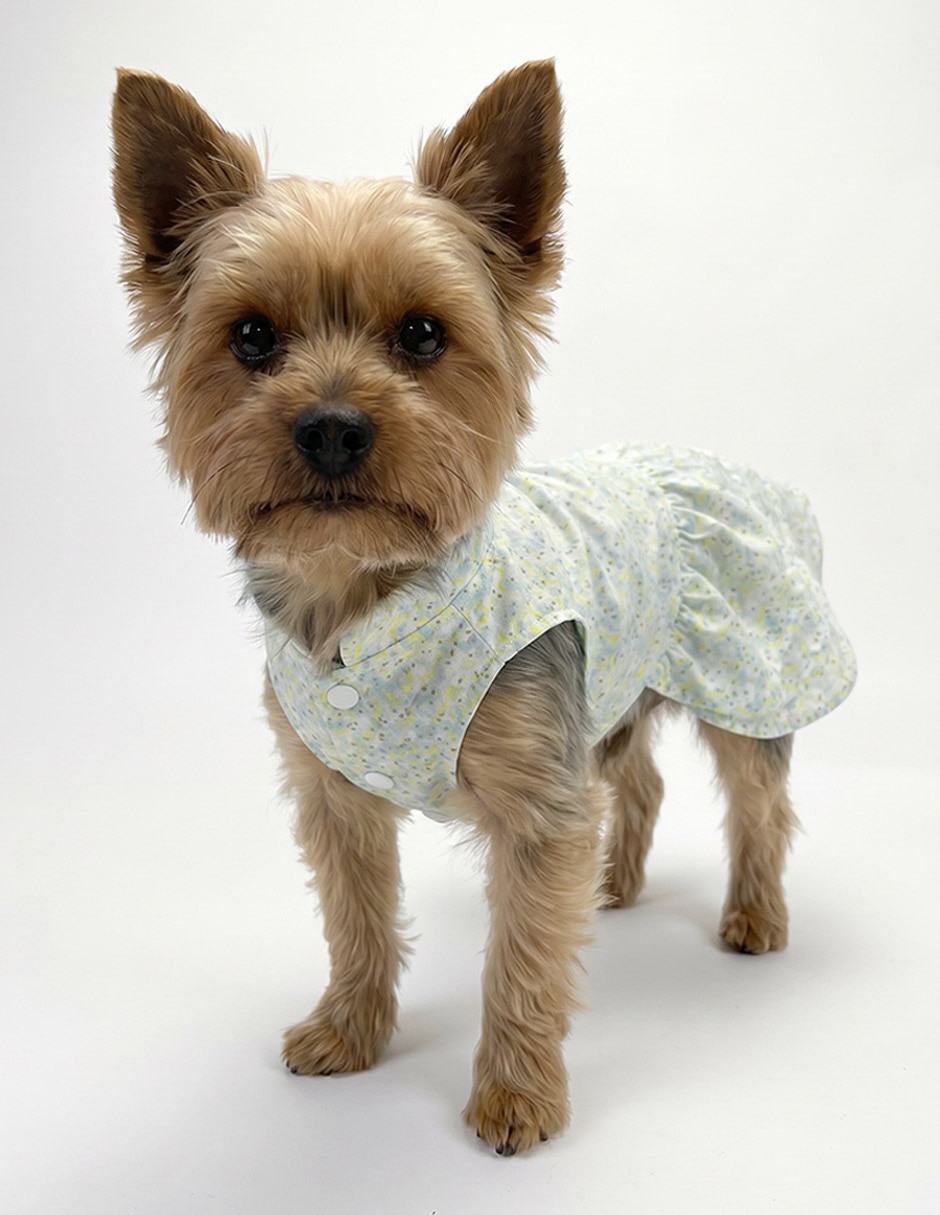Vestido para perro 4