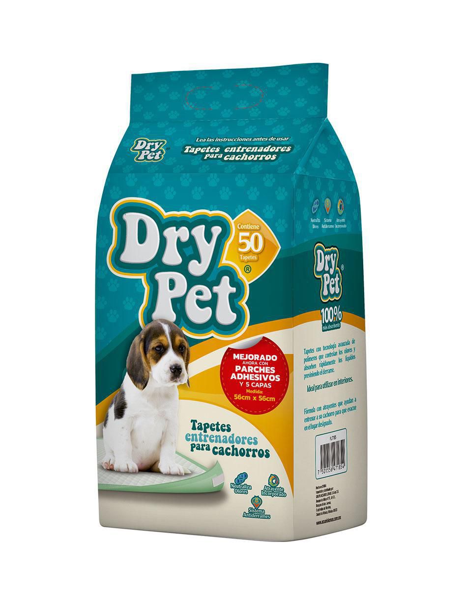 Tapete entrenador para perro 1