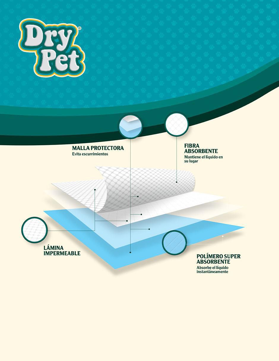 Tapete entrenador para perro Tapete entrenador para perro