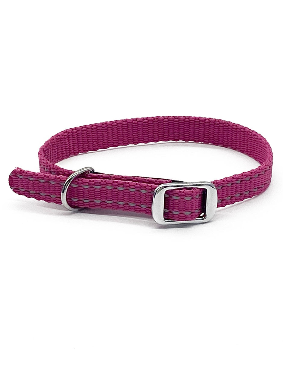 Collar para perro Collar para perro