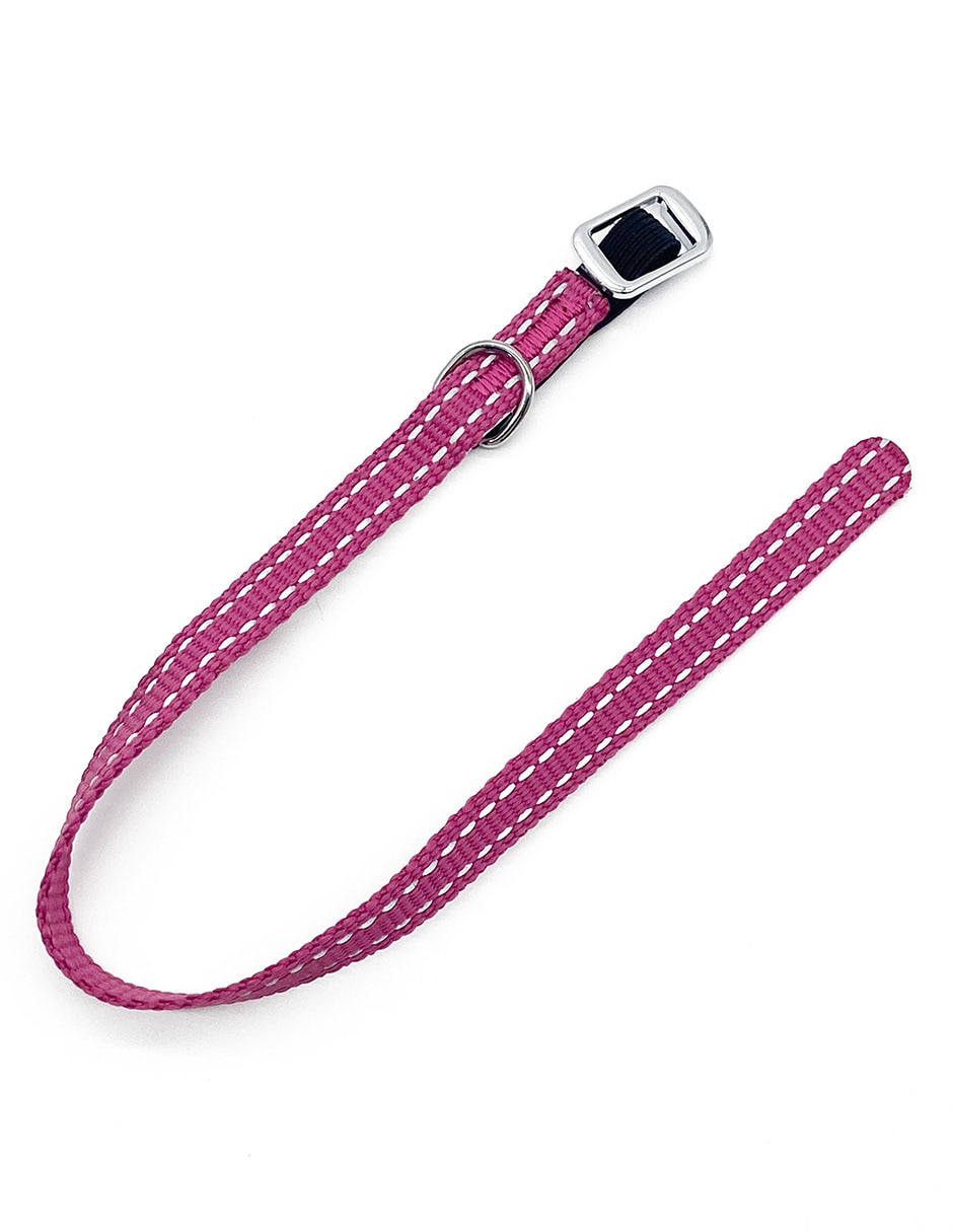 Collar Zoopet para perro