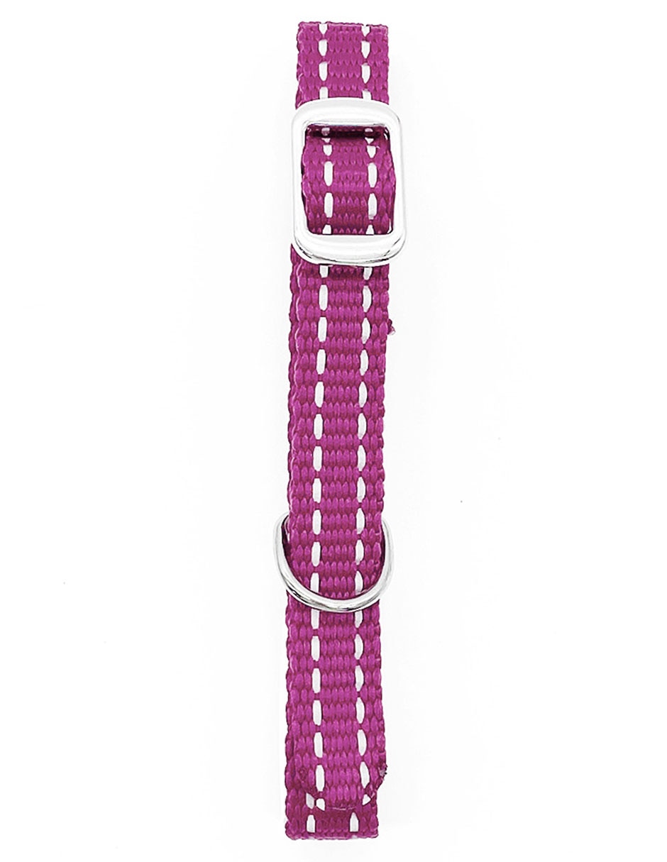 Collar Zoopet para perro