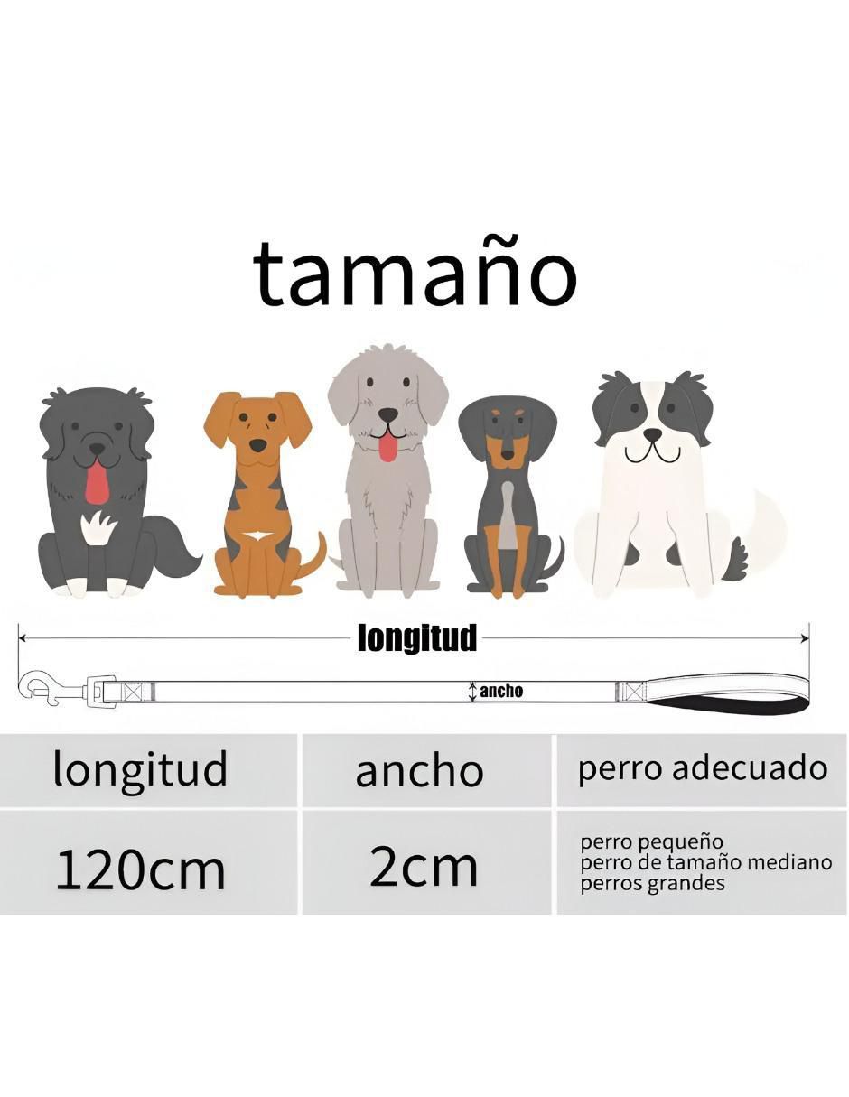 Correa y collar Xtellar de nylon para perro y gato