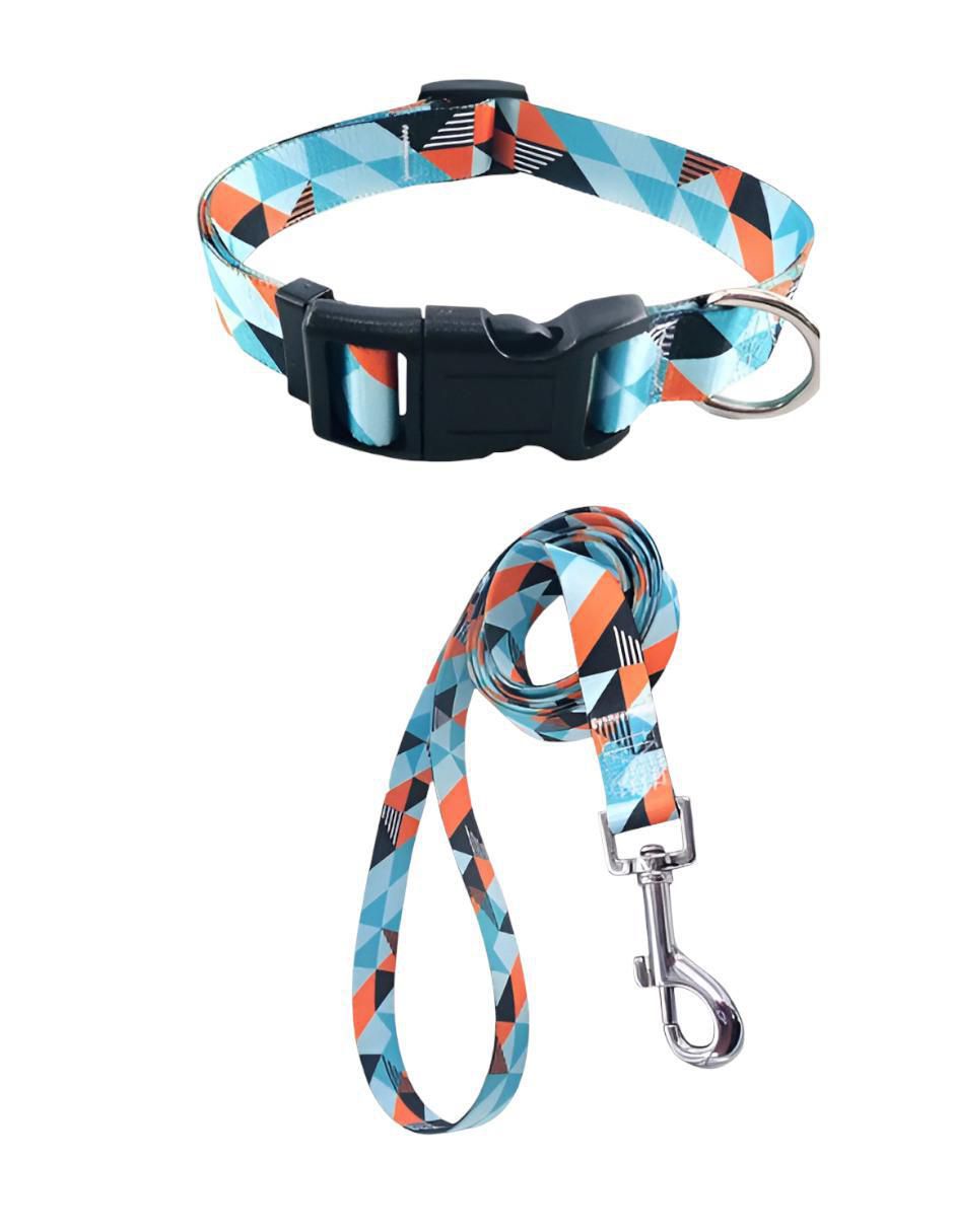 Correa y collar de nylon para perro y gato 1