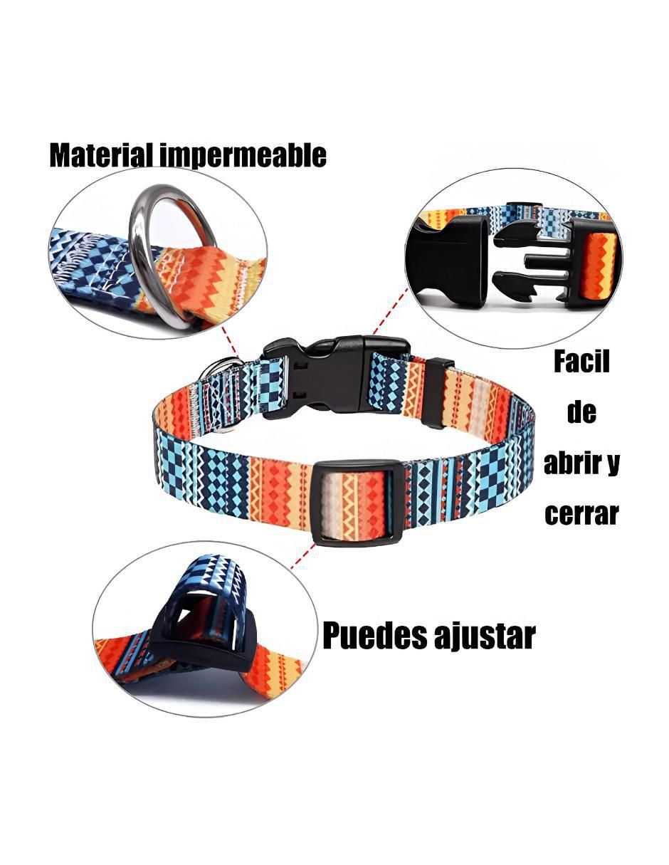 Correa y collar de nylon para perro y gato 2