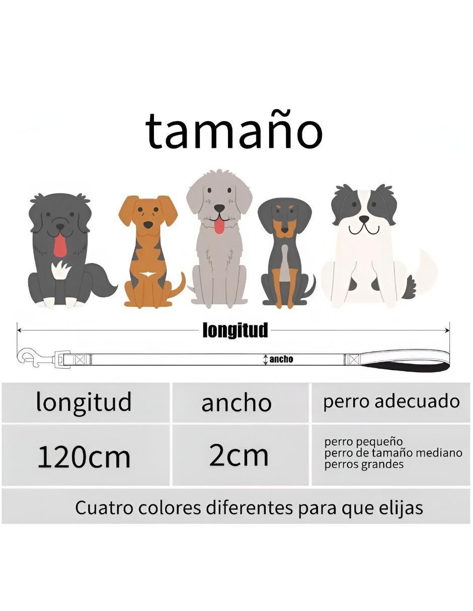 Correa y collar de nylon para perro y gato 4