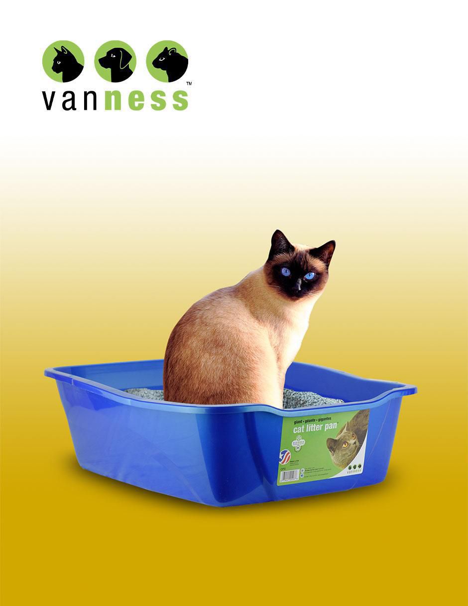 Arenero para gato