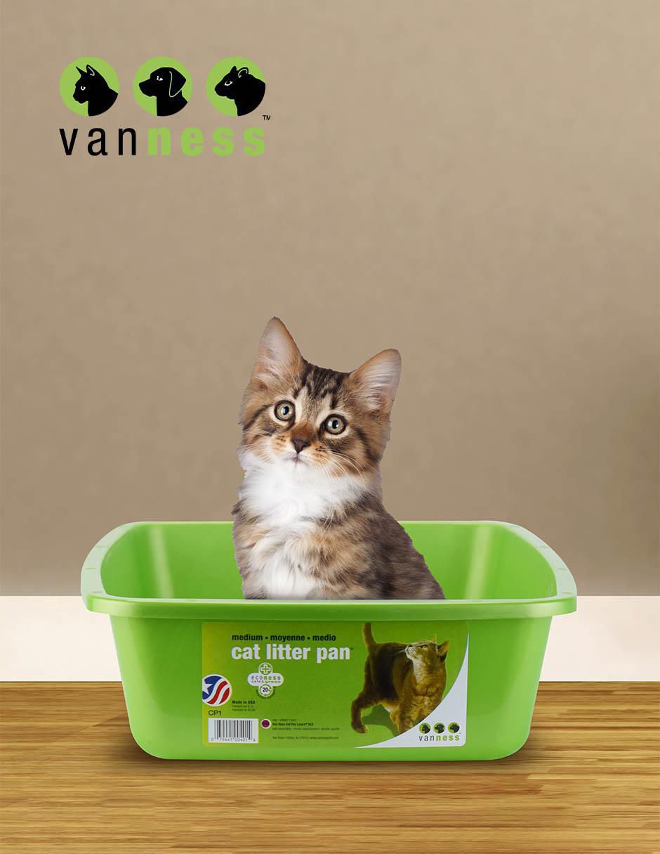 Arenero para gato