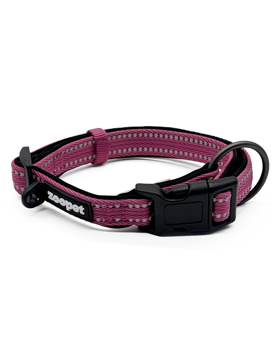 Collar para perro