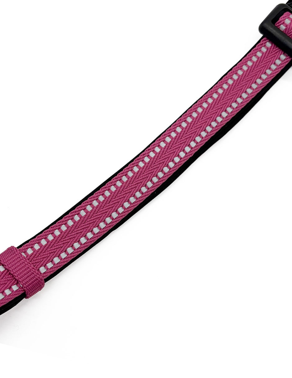 Collar Zoopet para perro