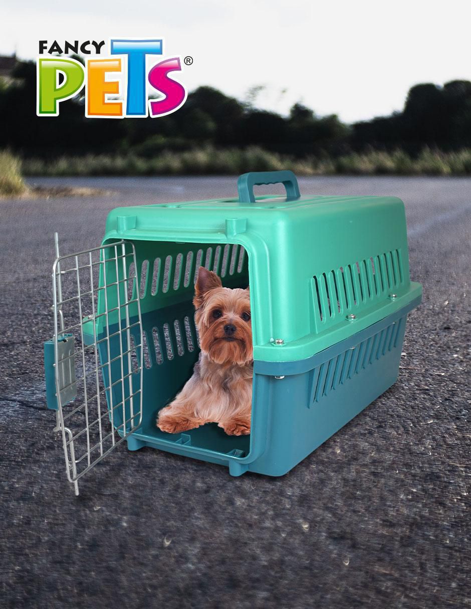 Transportadora para de 2