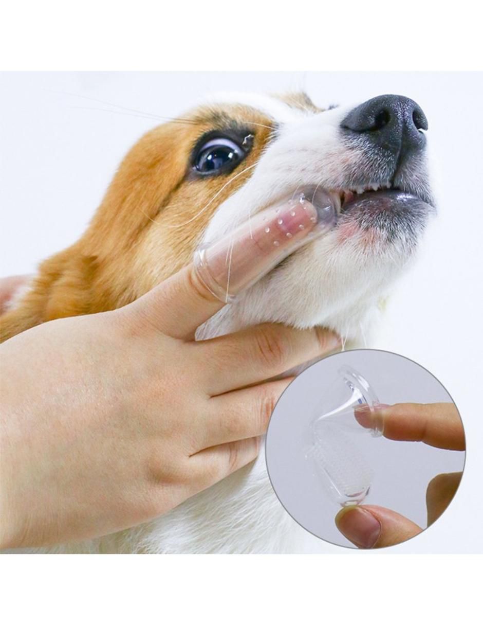 Cepillo de dientes para mascota