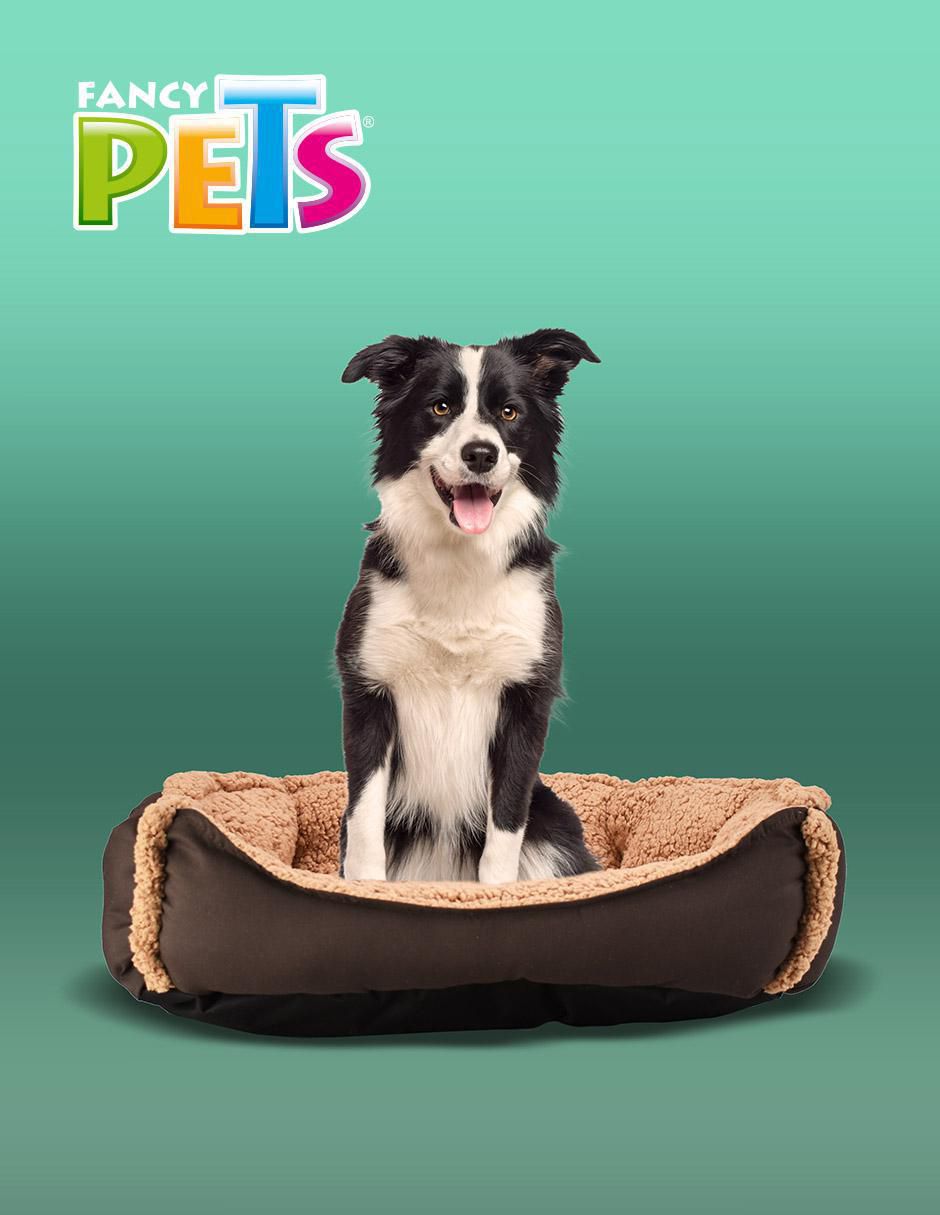 Cama para perro