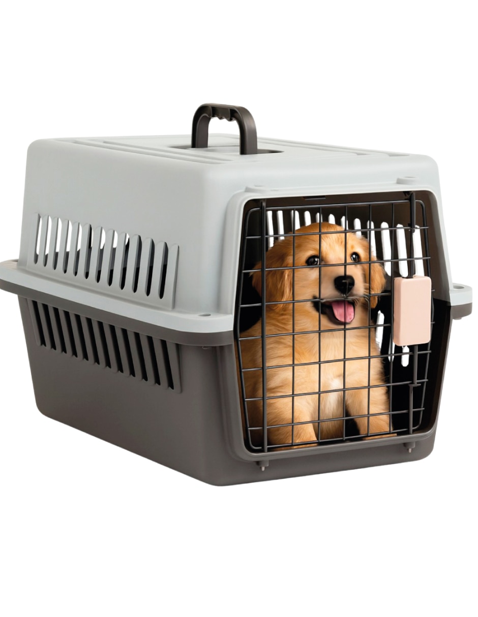 Transportadora para perro Transportadora para perro