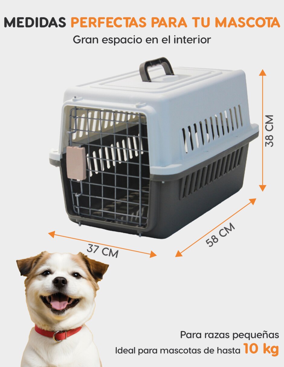 Transportadora para perro
