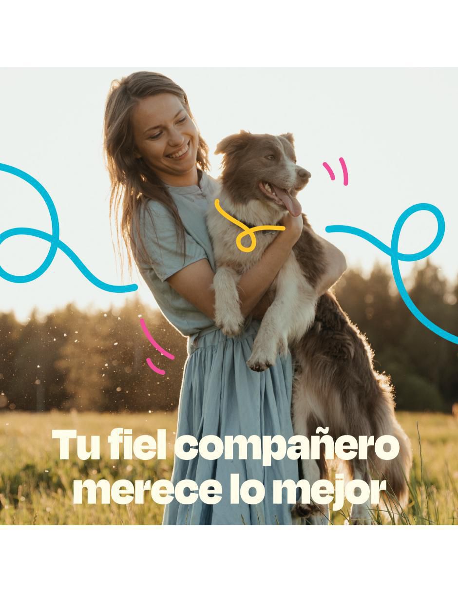 Calmante para mascota Dogelthy de carne para perro contenido 270 g