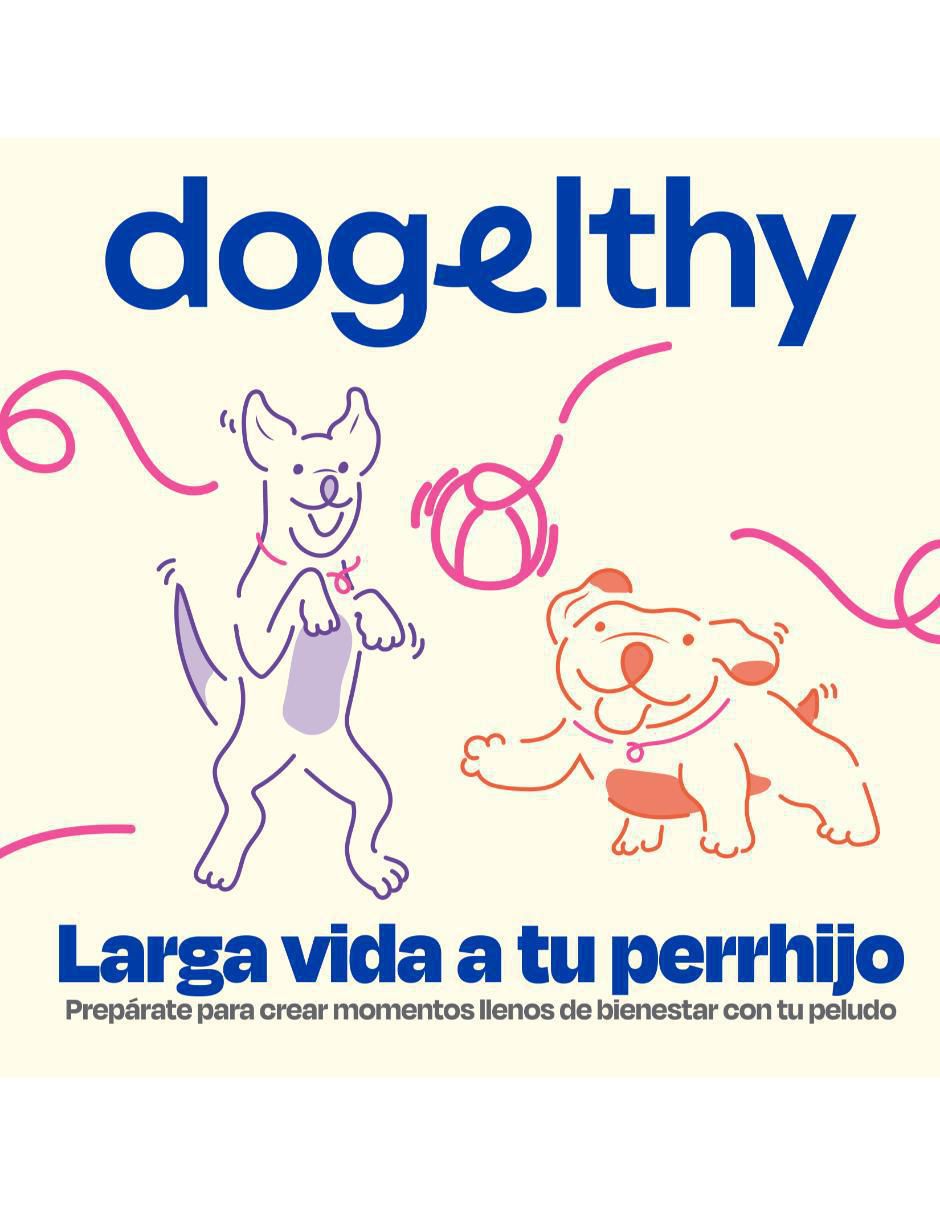 Suplemento alimenticio para mascota probiótico Suplemento alimenticio para mascota probiótico
