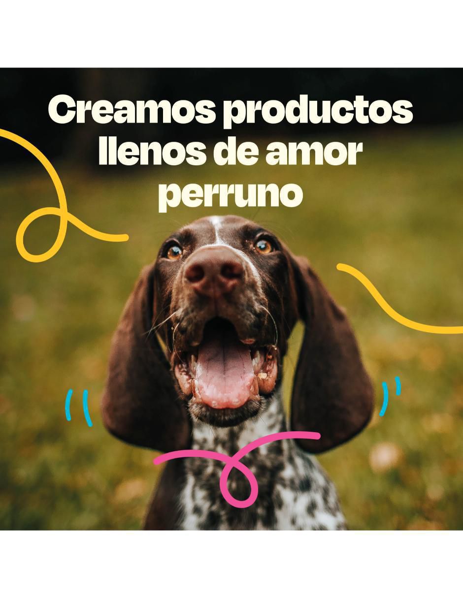 Suplemento alimenticio para mascota probiótico 6