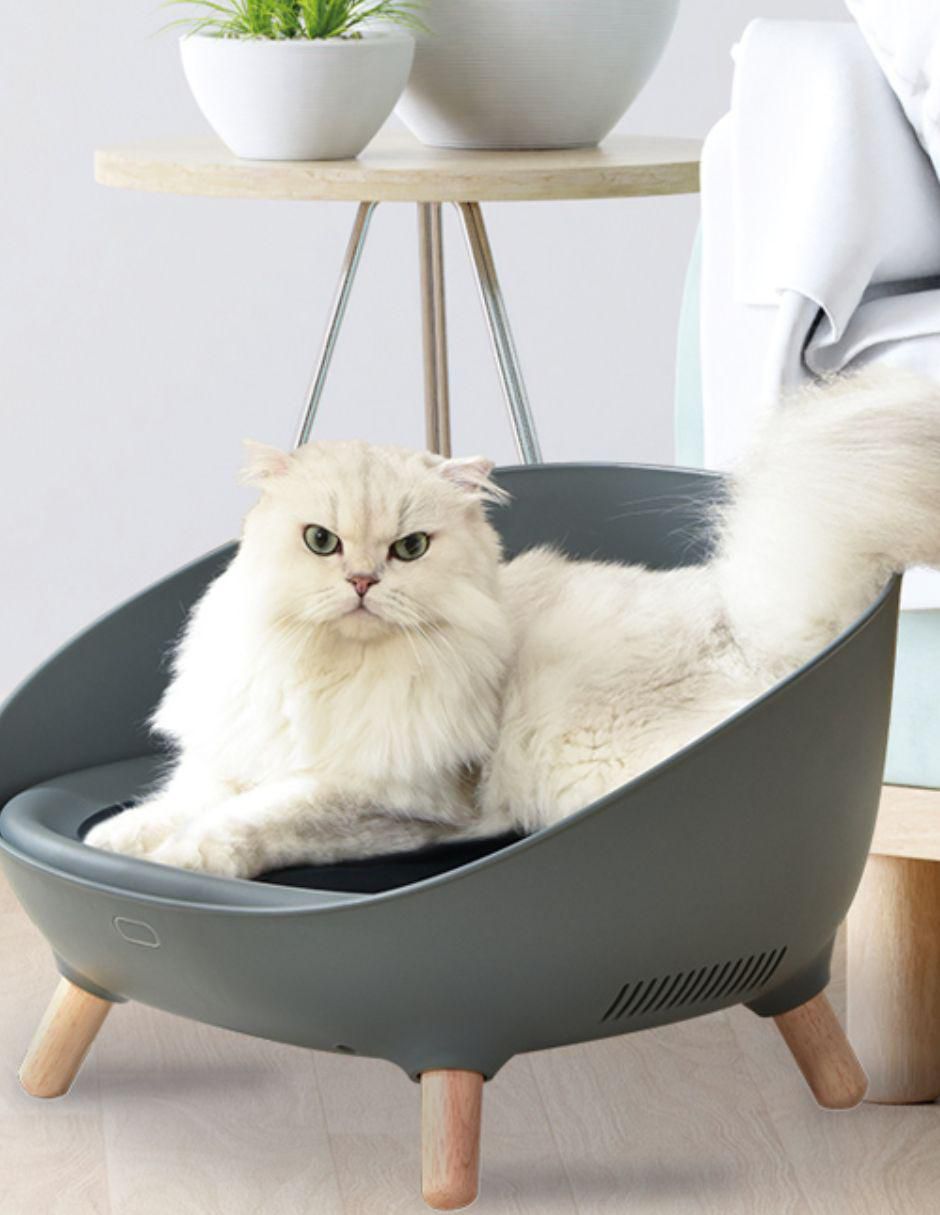 Cama para perro y gato