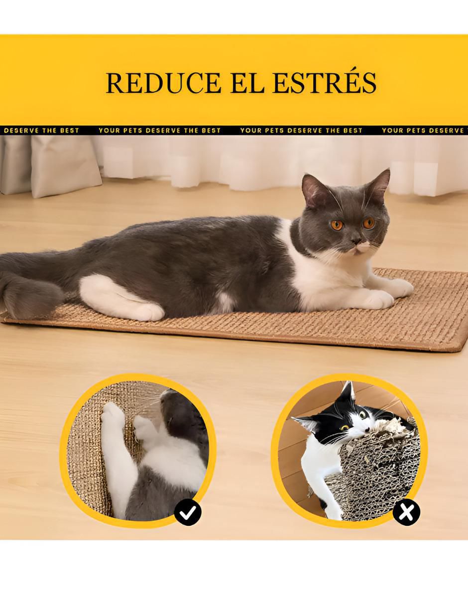 Rascador para gato Xtellar