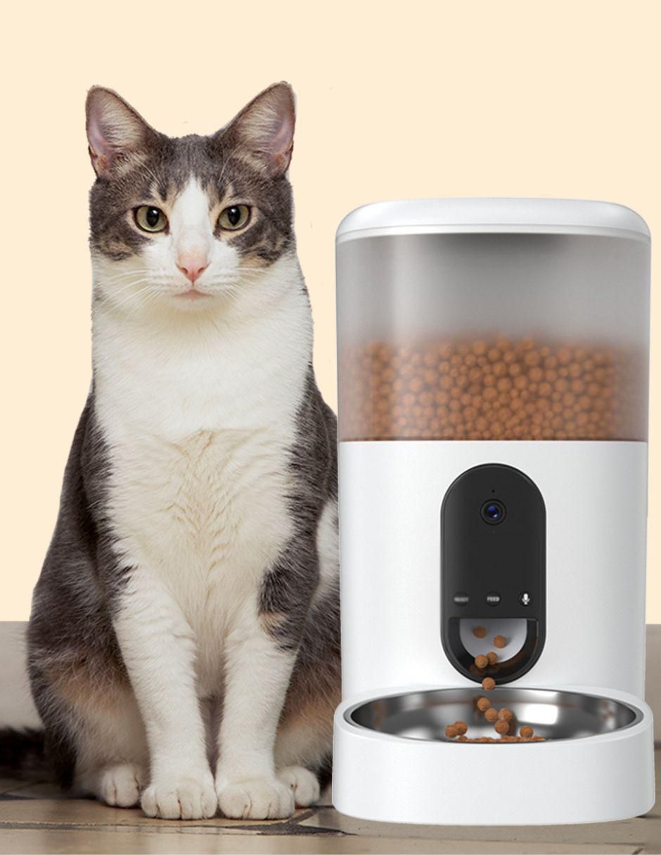 Alimentador automático para perro y gato 2