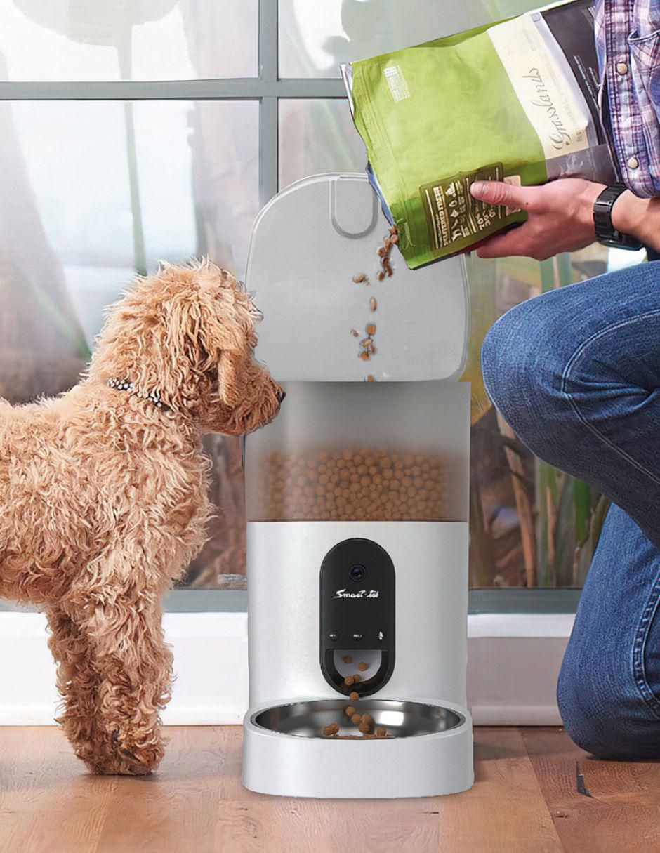 Alimentador automático para perro y gato 3