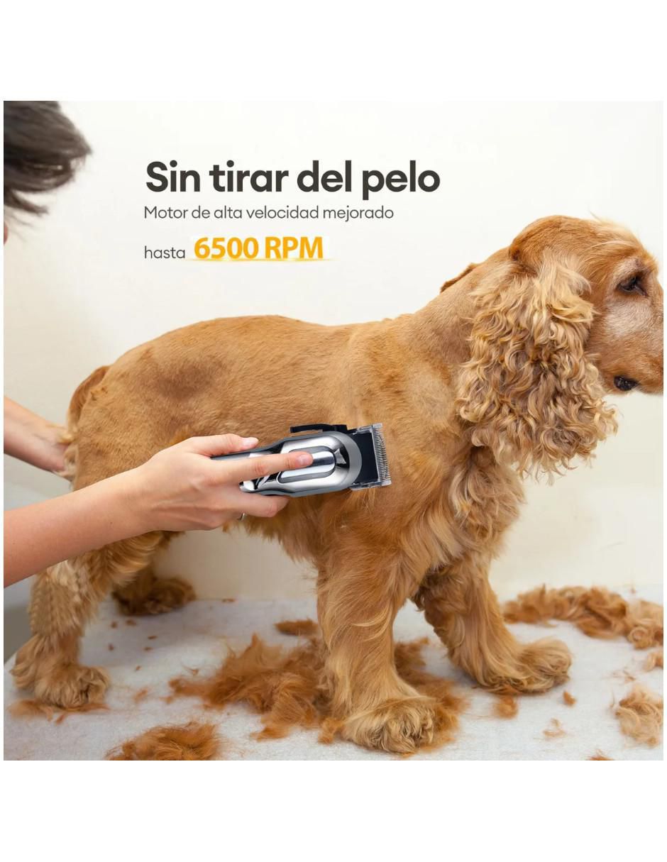 Rasuradora para perro Lab.G