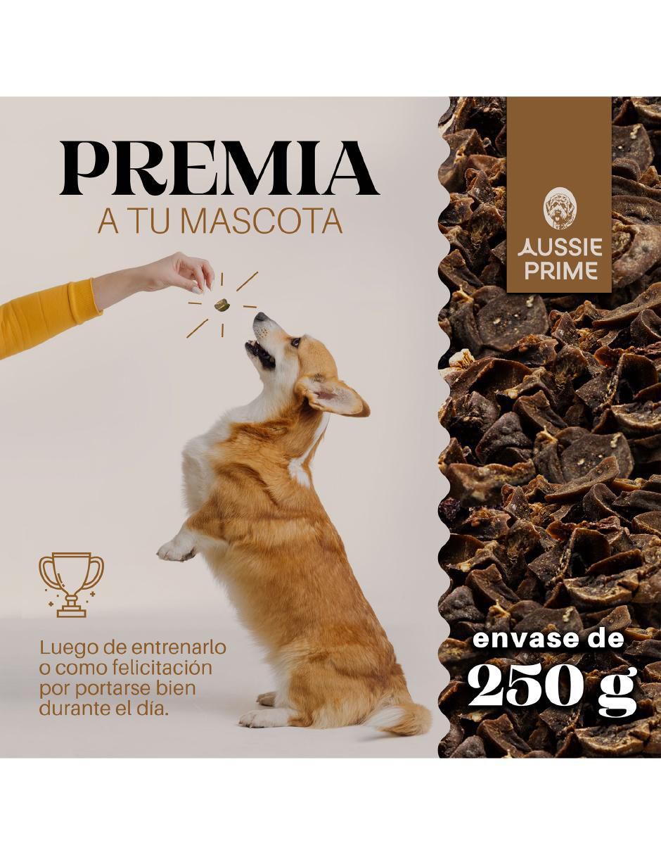 Premio de carne para perro contenido 250 g 5