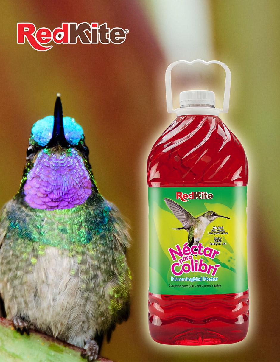 Néctar para colibrí todas las etapas contenido 3.6 kg 2