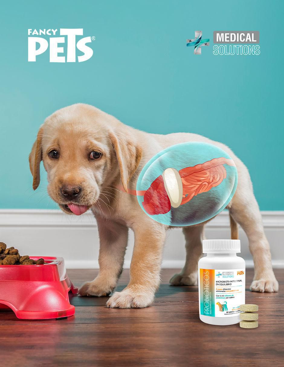 Suplemento alimenticio para mascota probiótico Suplemento alimenticio para mascota probiótico