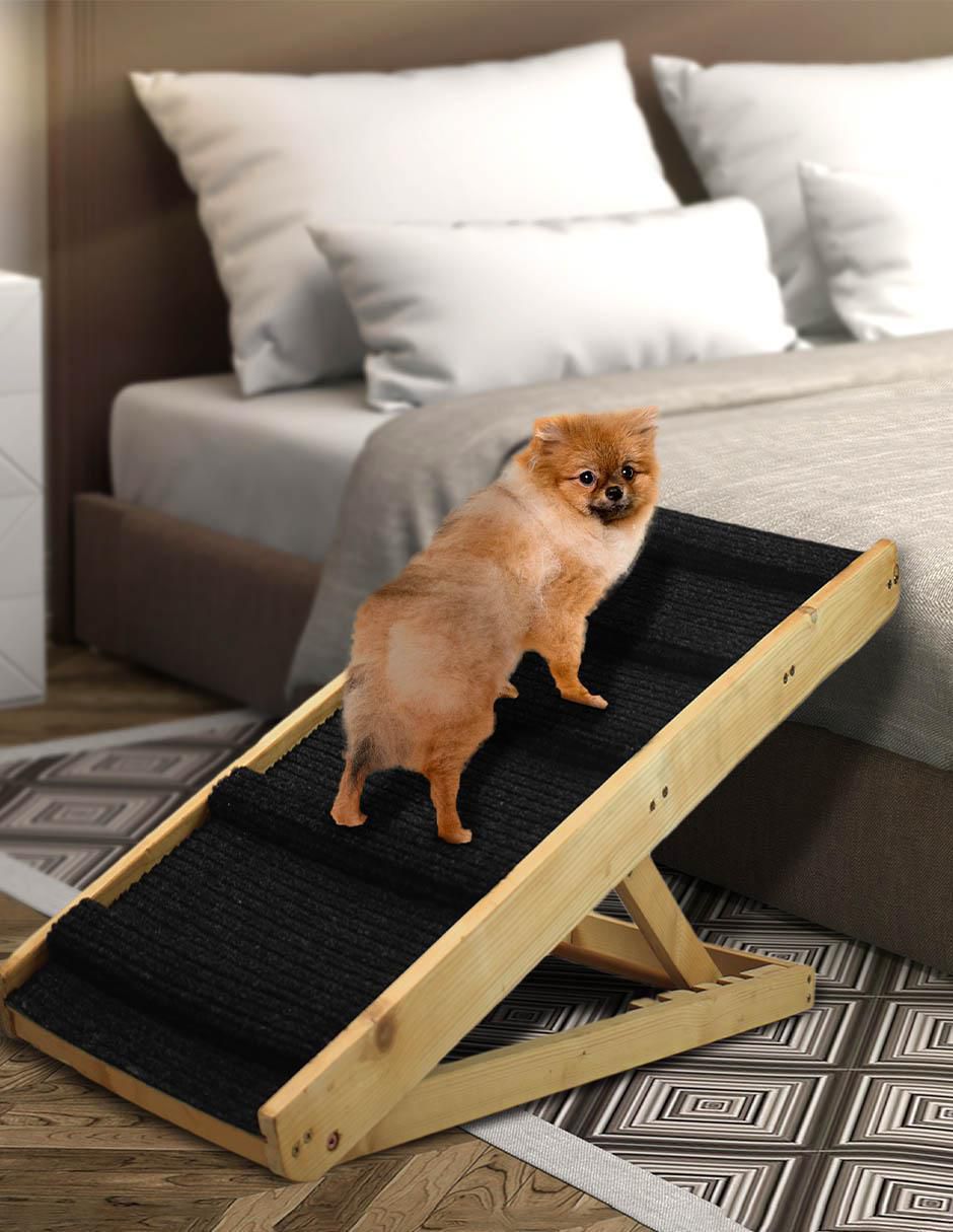 Rampa para mascota para perro y gato 2