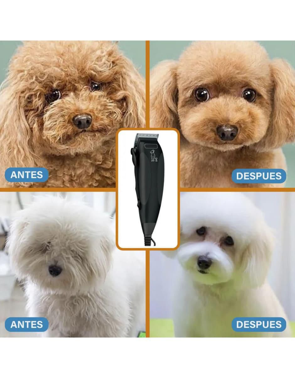 Rasuradora para perro belug