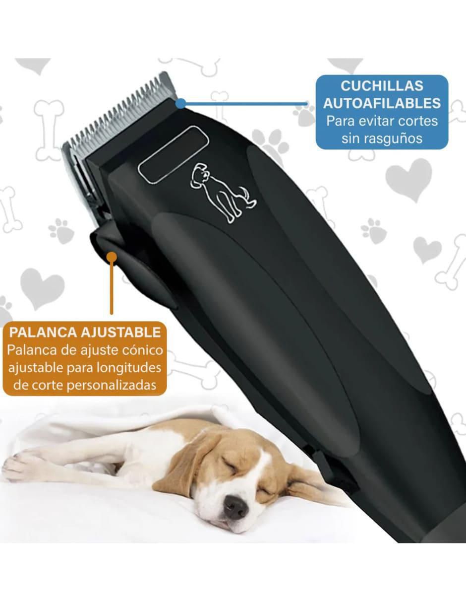 Rasuradora para perro belug
