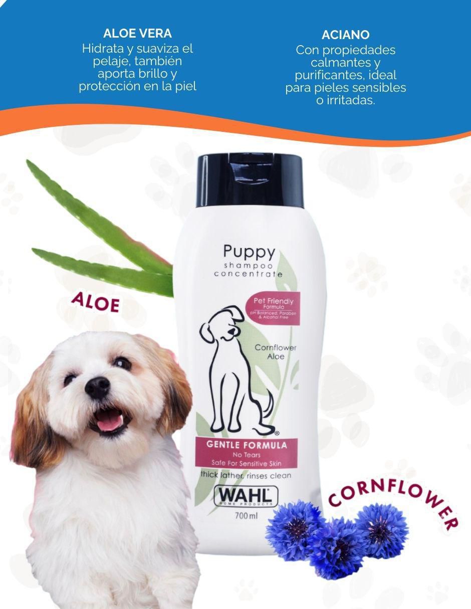 Kit rasuradora p/mascota 6