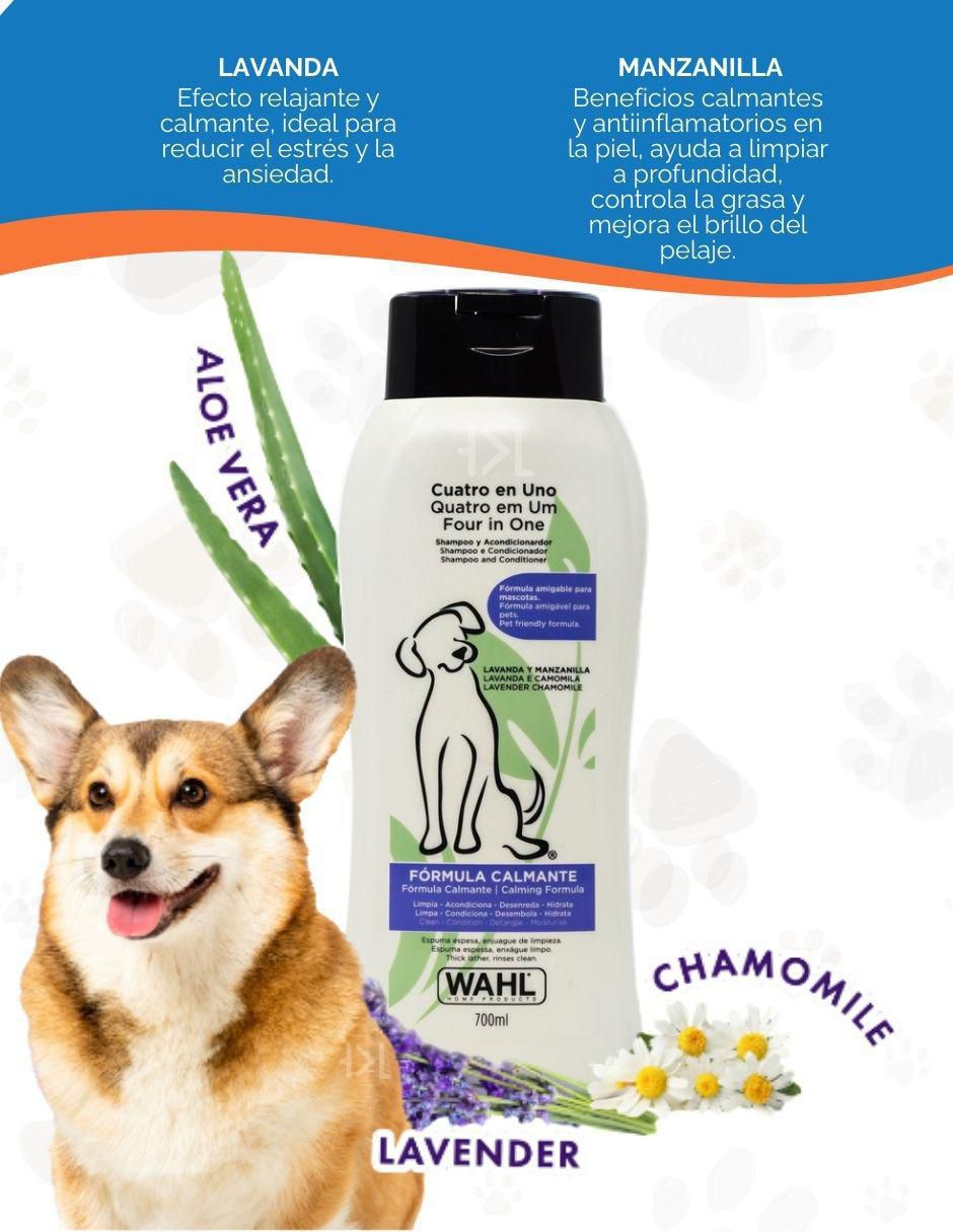 Kit rasuradora para mascota 8