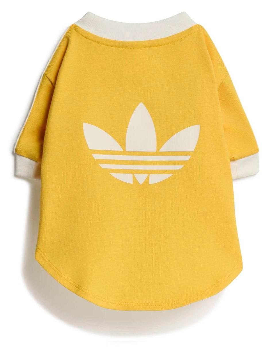 Sudadera para perro y gato 2
