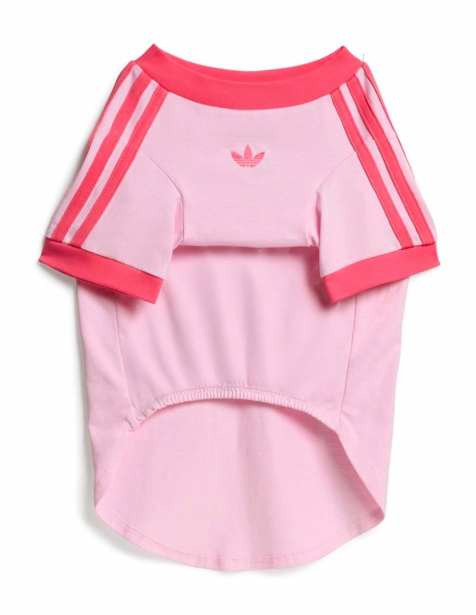 Set de sudadera para perro y gato 2