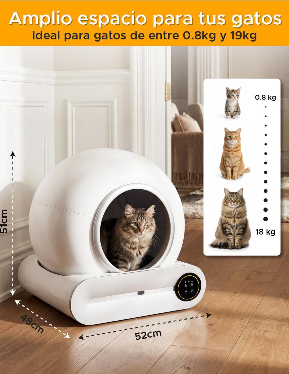 Arenero para gato 10