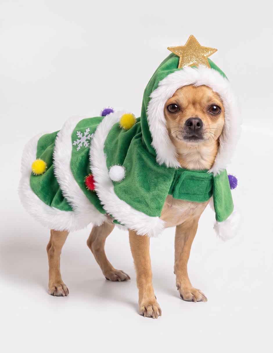 Disfraz navideño para perro 4