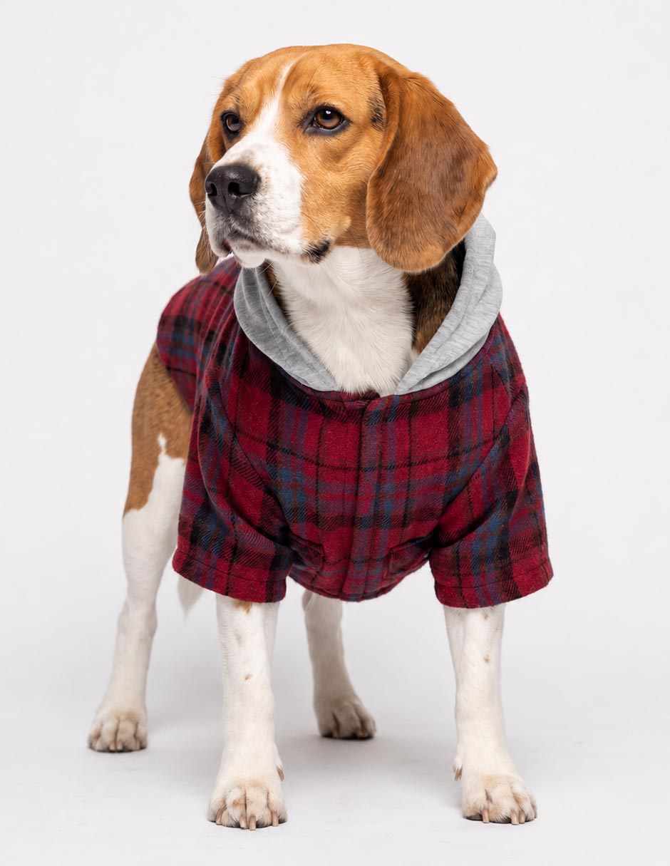 Sudadera para perro 2